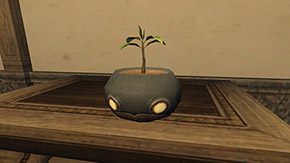 Korrigan Pot Appearance.jpg