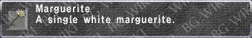 Marguerite description.png