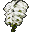 Phalaenopsis icon.png