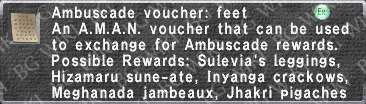 File:A. Voucher- Feet description.png