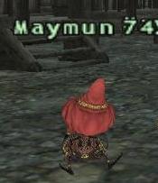 Maymun 74.jpg