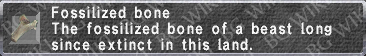 File:Fossilized Bone description.png