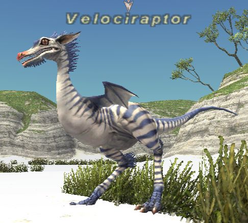 File:Velociraptor.jpg