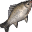 File:Moat Carp icon.png