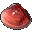 Tropical Clam icon.png
