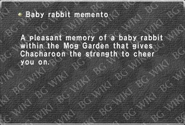 Baby rabbit memento