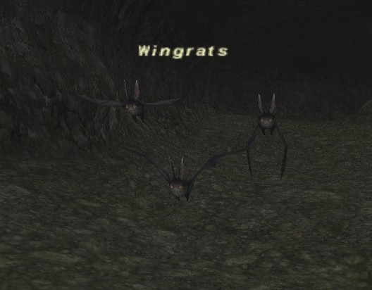 File:Wingrats.jpg