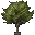 Birch Tree icon.png