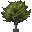 File:Birch Tree icon.png