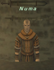 Numa.jpg