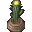 File:Amigo Cactus icon.png