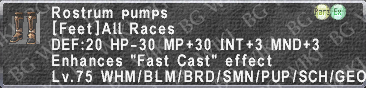 File:Rostrum Pumps description.png