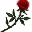 File:Red Rose icon.png