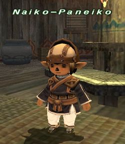 Naiko-Paneiko.jpg