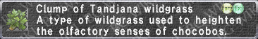 Tjn. Wildgrass description.png