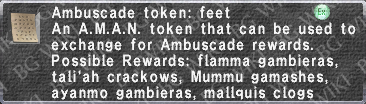 A. Token- Feet description.png