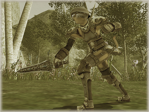 Image05-02-2008 p06.jpg