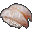 File:Sole Sushi icon.png