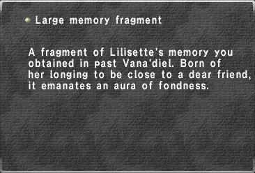 Large memory fragment (4)