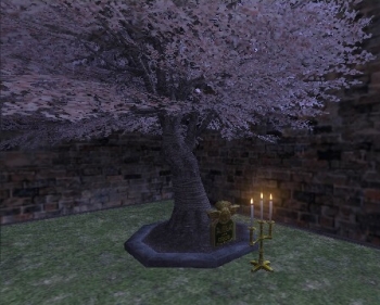 File:Cherry tree appearance 2.jpg