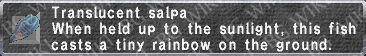 Translucent Salpa description.png