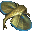 Gurnard icon.png