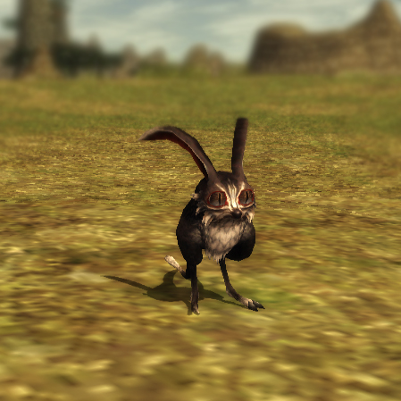 File:Blackrabbit.jpg