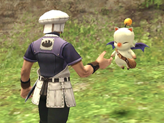 Image01-25-2011 1.jpg