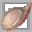 Steamed Crab icon.png