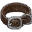 Beast Collar icon.png