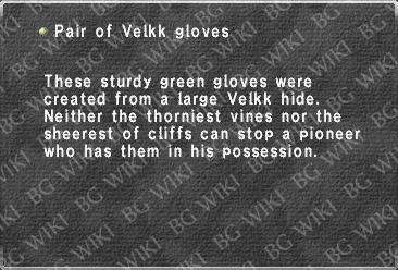 Pair of Velkk gloves