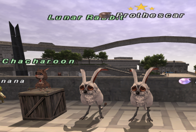 Lunar Rabbit.png