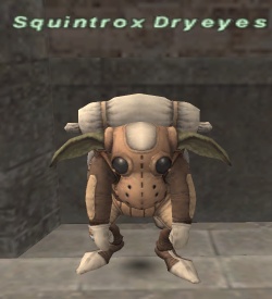 Squintrox Dryeyes.jpg