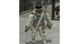 Coalition Sword