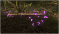 Thumbnail for version as of 21:14, 14 January 2013