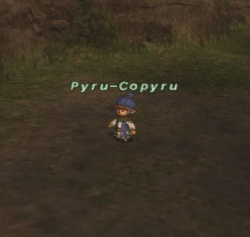 Pyru-Copyru.jpg