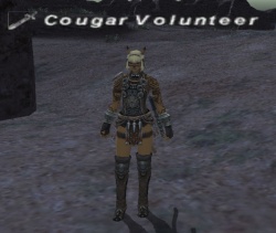 Cougar Volunteer.jpg