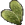 Olzhiryan Cactus icon.png