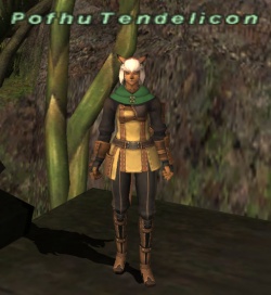 Pofhu Tendelicon.jpg