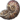 Nebimonite Bake icon.png