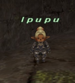 Ipupu.jpg