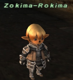 Zokima-Rokima.jpg