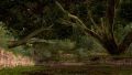 Thumbnail for version as of 15:48, 19 May 2021