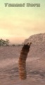 Thumbnail for version as of 01:02, 16 March 2008