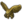 Gold Orcmask icon.png