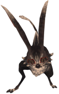 Rabbit 2.png