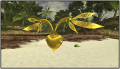 Thumbnail for version as of 21:14, 14 January 2013