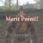 Merit Point Icon.png