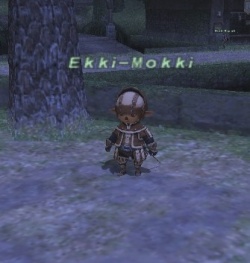 Ekki-Mokki.jpg