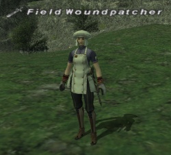 Field Woundpatcher.jpg